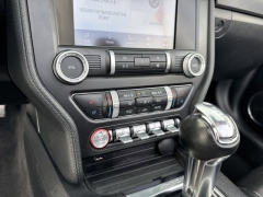 Used 2023  Ford Mustang EcoBoost Convertible at Mike Burkart Ford near Plymouth&comma; WI