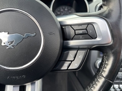 Used 2023  Ford Mustang EcoBoost Convertible at Mike Burkart Ford near Plymouth&comma; WI