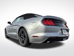 Used 2023  Ford Mustang EcoBoost Convertible at Mike Burkart Ford near Plymouth&comma; WI