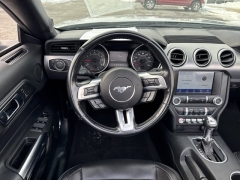 Used 2023  Ford Mustang EcoBoost Convertible at Mike Burkart Ford near Plymouth&comma; WI