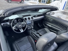 Used 2023  Ford Mustang EcoBoost Convertible at Mike Burkart Ford near Plymouth&comma; WI