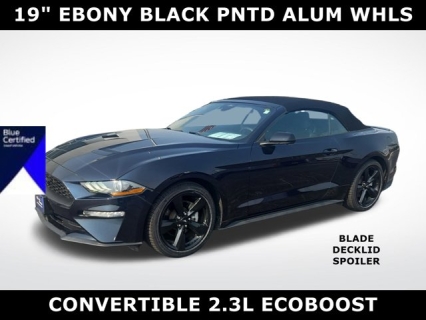 Used 2021 Ford Mustang EcoBoost Convertible at Mike Burkart Ford near Plymouth, WI