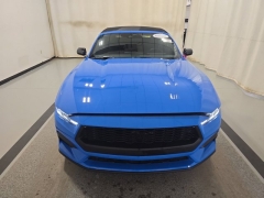 Used 2024 Ford Mustang EcoBoost Convertible at Mike Burkart Ford near Plymouth, WI