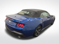 Used 2024  Ford Mustang EcoBoost Convertible at Mike Burkart Ford near Plymouth, WI