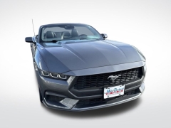 Used 2024 Ford Mustang EcoBoost Premium Convertible at Mike Burkart Ford near Plymouth, WI