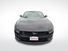 Used 2024 Ford Mustang EcoBoost Convertible at Mike Burkart Ford near Plymouth, WI