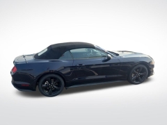 Used 2021 Ford Mustang EcoBoost Convertible at Mike Burkart Ford near Plymouth, WI