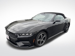 Used 2024 Ford Mustang EcoBoost Convertible at Mike Burkart Ford near Plymouth, WI