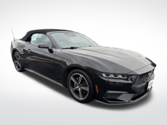 Used 2024 Ford Mustang EcoBoost Convertible at Mike Burkart Ford near Plymouth, WI