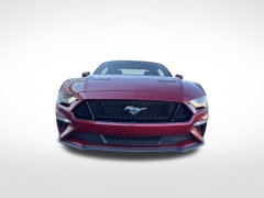 Used 2019  Ford Mustang 2d Fastback GT Premium at Mike Burkart Ford near Plymouth&comma; WI