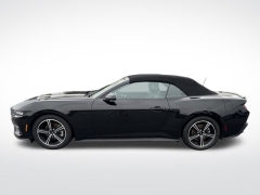 Used 2024 Ford Mustang EcoBoost Convertible at Mike Burkart Ford near Plymouth, WI