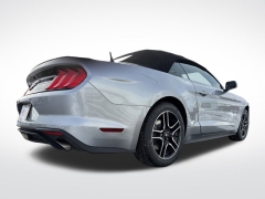 Used 2023  Ford Mustang EcoBoost Convertible at Mike Burkart Ford near Plymouth&comma; WI