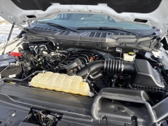 Used 2023  Ford F-150 4WD SuperCrew Box at Mike Burkart Ford near Plymouth&comma; WI