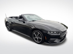 Used 2024 Ford Mustang EcoBoost Convertible at Mike Burkart Ford near Plymouth, WI