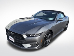 Used 2024 Ford Mustang EcoBoost Premium Convertible at Mike Burkart Ford near Plymouth, WI