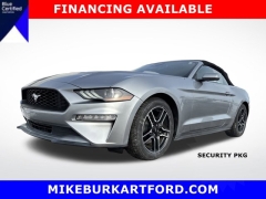 Used 2023  Ford Mustang EcoBoost Convertible at Mike Burkart Ford near Plymouth&comma; WI