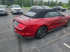Used 2019 Ford Mustang 2d Convertible GT Premium at Mike Burkart Ford near Plymouth, WI