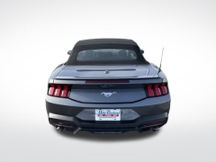 Used 2024 Ford Mustang EcoBoost Premium Convertible at Mike Burkart Ford near Plymouth, WI