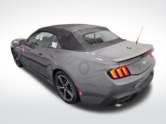 Used 2024 Ford Mustang EcoBoost Premium Convertible at Mike Burkart Ford near Plymouth, WI