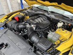Used 2024 Ford Mustang GT Premium Fastback at Mike Burkart Ford near Plymouth, WI