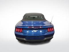 Used 2024  Ford Mustang EcoBoost Convertible at Mike Burkart Ford near Plymouth, WI