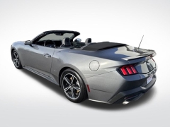 Used 2024 Ford Mustang EcoBoost Premium Convertible at Mike Burkart Ford near Plymouth, WI