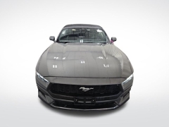 Used 2024 Ford Mustang EcoBoost Premium Convertible at Mike Burkart Ford near Plymouth, WI