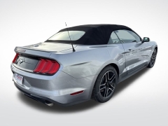 Used 2023  Ford Mustang EcoBoost Convertible at Mike Burkart Ford near Plymouth&comma; WI