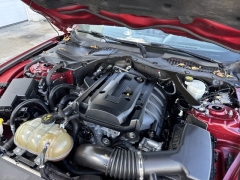 Used 2018  Ford Mustang EcoBoost Convertible at Mike Burkart Ford near Plymouth, WI