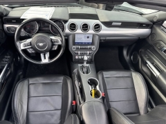 Used 2023  Ford Mustang EcoBoost Convertible at Mike Burkart Ford near Plymouth&comma; WI