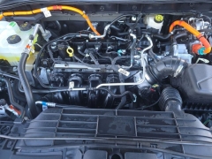 Used 2025  Ford Escape Hybrid ST-Line Select AWD at Mike Burkart Ford near Plymouth&comma; WI