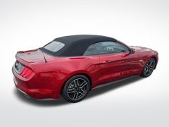 Used 2019 Ford Mustang 2d Convertible GT Premium at Mike Burkart Ford near Plymouth, WI