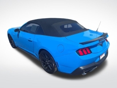 Used 2024 Ford Mustang EcoBoost Convertible at Mike Burkart Ford near Plymouth, WI