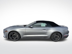Used 2023  Ford Mustang EcoBoost Convertible at Mike Burkart Ford near Plymouth&comma; WI
