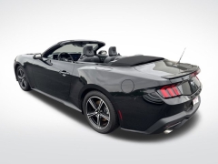 Used 2024 Ford Mustang EcoBoost Convertible at Mike Burkart Ford near Plymouth, WI