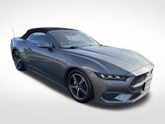 Used 2024 Ford Mustang EcoBoost Premium Convertible at Mike Burkart Ford near Plymouth, WI