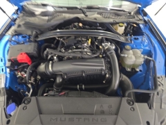 Used 2024 Ford Mustang EcoBoost Convertible at Mike Burkart Ford near Plymouth, WI