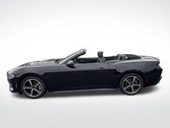 Used 2024 Ford Mustang EcoBoost Convertible at Mike Burkart Ford near Plymouth, WI