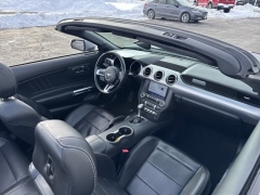 Used 2023  Ford Mustang EcoBoost Convertible at Mike Burkart Ford near Plymouth&comma; WI