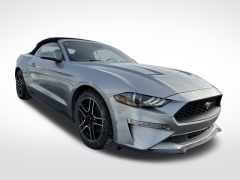 Used 2023  Ford Mustang EcoBoost Convertible at Mike Burkart Ford near Plymouth&comma; WI