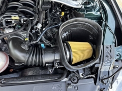 Used 2019 Ford Mustang 2d Fastback BULLITT at Mike Burkart Ford near Plymouth, WI
