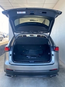 Used 2019 Lexus NX NX 300 AWD at The Gilstrap Family Dealerships near Easley, SC