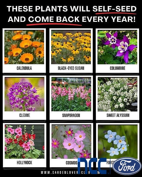 New 2023  Ford F-150 Lightning LARIAT 4WD SuperCrew Standard at Promax Automotive near Bettendorf, IA