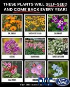  2023 Ford F-150 Lightning LARIAT 4WD SuperCrew Standard at Promax Automotive near Bettendorf, IA