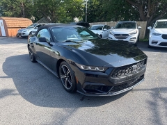 Used 2024  Ford Mustang EcoBoost Convertible at City Wide Auto Credit near Toledo&comma; OH