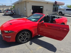 Used 2019  Ford Mustang 2d Convertible EcoBoost Premium at City Wide Auto Credit near Toledo&comma; OH