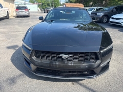 Used 2024  Ford Mustang EcoBoost Convertible at City Wide Auto Credit near Toledo&comma; OH