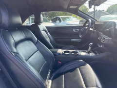 Used 2024  Ford Mustang EcoBoost Convertible at City Wide Auto Credit near Toledo&comma; OH