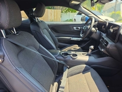 Used 2024  Ford Mustang EcoBoost Fastback at City Wide Auto Credit near Toledo&comma; OH
