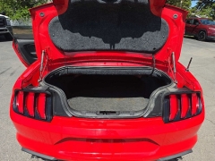 Used 2019  Ford Mustang 2d Convertible EcoBoost Premium at City Wide Auto Credit near Toledo&comma; OH